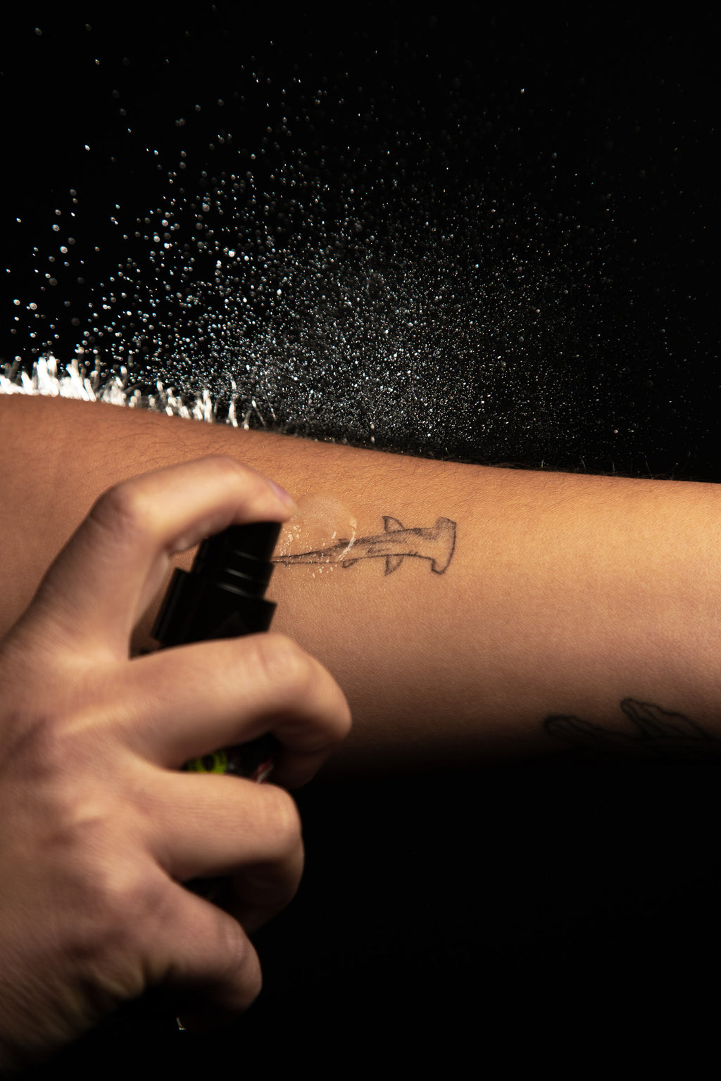 SKIN CARE - OIL SPRAY